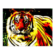 Retro Tiger Pop Art Post Card