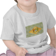 Retro Vintage Delaware Flag Tee Shirts