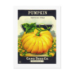 Retro Vintage Halloween pumpkin seed package postcards
