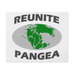 Reunite Pangea Flyer