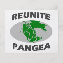 Reunite Pangea Flyer