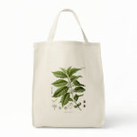 Reusable Coffee Plant bags
