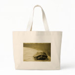Reusable shopping bag