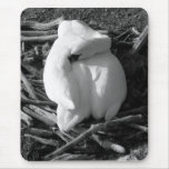 Rêve de cygne tapis de souris