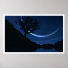 Reverie Posters
