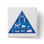 Revised Food Chain buttons