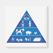 Revised Food Chain Refrigerator Magnet