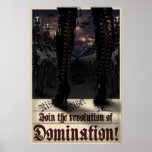 Revolution of DomiNation! Poster posters