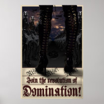Revolution of DomiNation! Poster