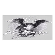 Revolutionary War Eagle Photo Card
