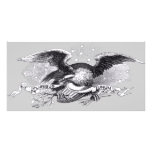 Revolutionary War Eagle Photo Card photo cards