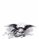 Revolutionary War Eagle Photo Sculpture