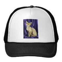 Rex, Devon, red tabby Hat