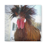 Rex Rooster Magnet
