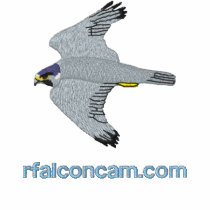 Rfalconcam Dark Embroidered Shirt