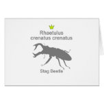 Rhaetulus crenatus crenatus g5 cards