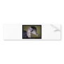 Rhea americana - Greater Rhea 01 Bumper Sticker