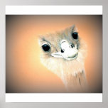 Rhea Print