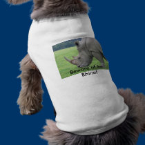 Rhino, Beware of the Rhino! pet clothing