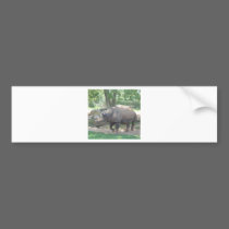 RHINO bumper stickers