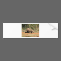Rhino bumper stickers