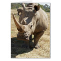 Rhino Charging cards
