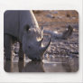 Rhino drinking at a watering place mouse pads