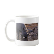 Rhino drinking at a watering place coffee mugs