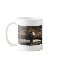 Rhino, front view mugs