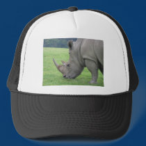 Rhino hats