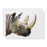 Rhino Head, White Background Announcement