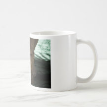 Rhino Mugs