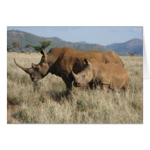 Rhino mum & baby greeting cards