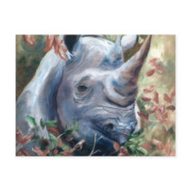Rhino Postcard