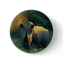 Rhino stare