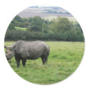 Rhino stickers