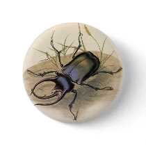 Rhinoceros Beetle Pinback Buttons