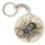 Rhinoceros Beetle keychains