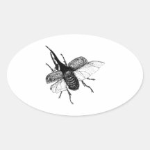 Rhinoceros Beetle Vintage Wood Engraving Stickers