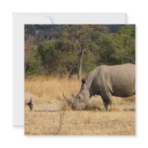 Rhinoceros Family Invitation