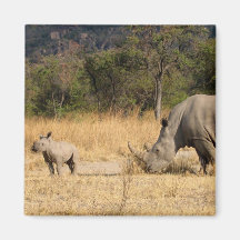 Rhinoceros Family Square Magnte Refrigerator Magnet