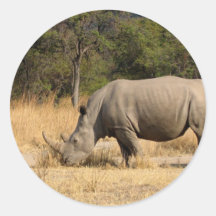 Rhinoceros Family Stickers