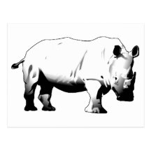 Rhinos Rock Post Card