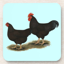 Rhode Island Red Bantams Drink Coaster