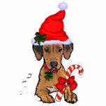 Rhodesian Ridgeback Christmas Gifts Ornament photo sculptures