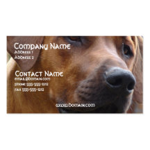 Rhodesian Ridgeback Dog Business Card