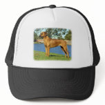 Rhodesian Ridgeback hats