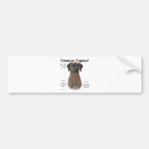Rhodesian Ridgeback History Design Bumper Stickers