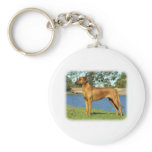 Rhodesian Ridgeback keychains