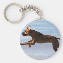 Rhodesian Ridgeback - Leap Keychains